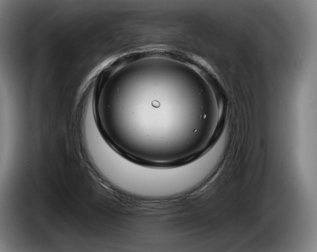 X0000085211406200703091129