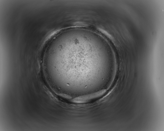 X0000085211407200703091129