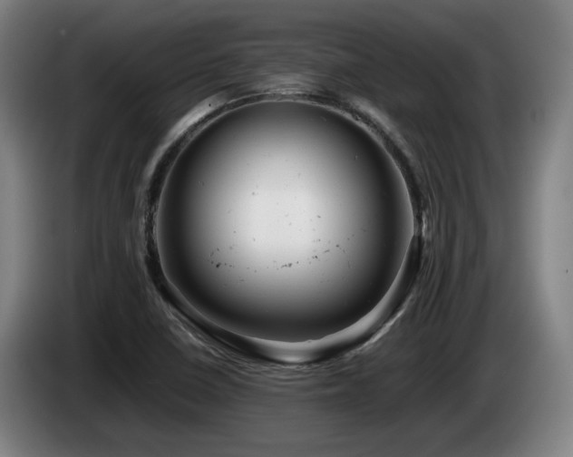 X0000085211410200703091129