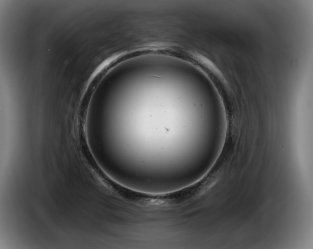 X0000085211412200703091129