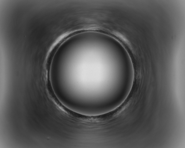 X0000085211414200703091129