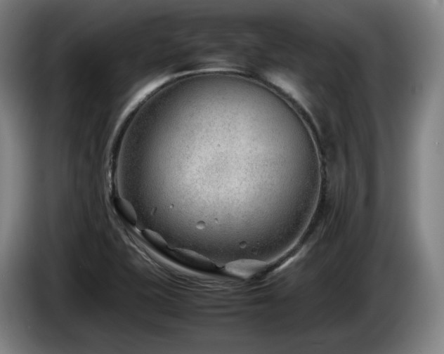 X0000085211415200703091129