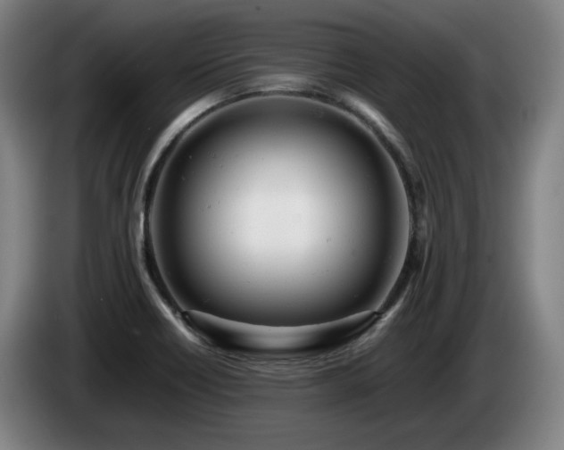 X0000085211418200703091129