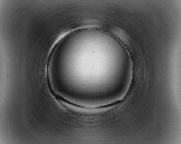 X0000085211420200703091129
