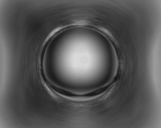 X0000085211422200703091129