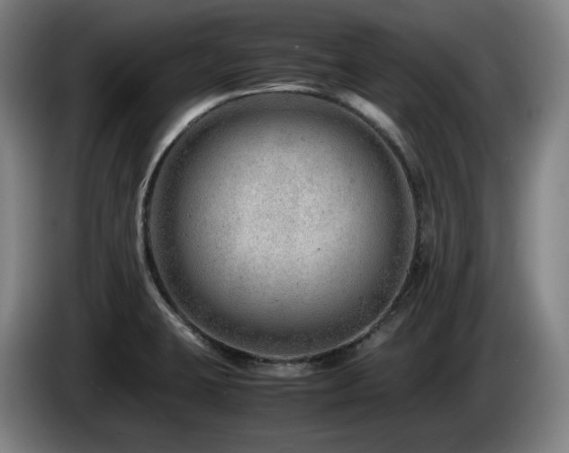 X0000085211423200703091129
