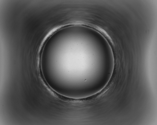 X0000085211424200703091129