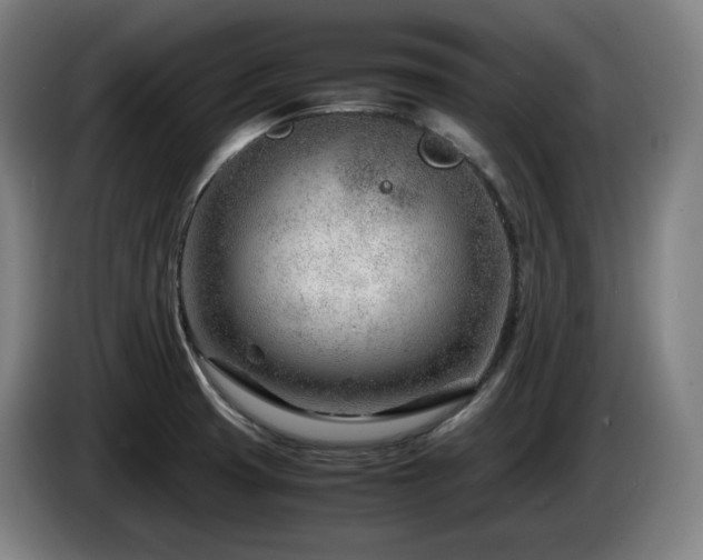 X0000085211425200703091129