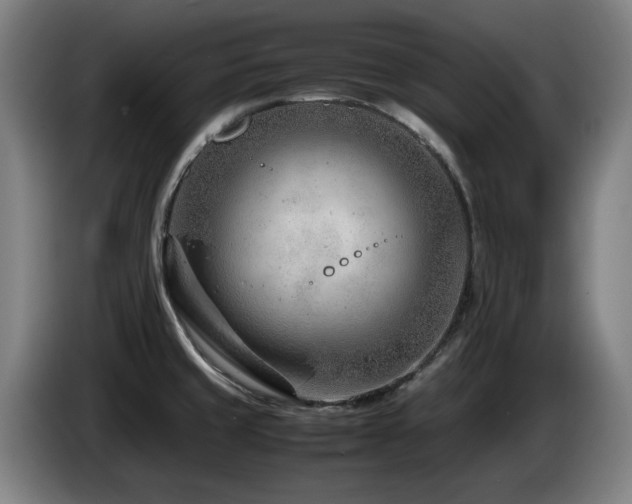 X0000085211429200703091129