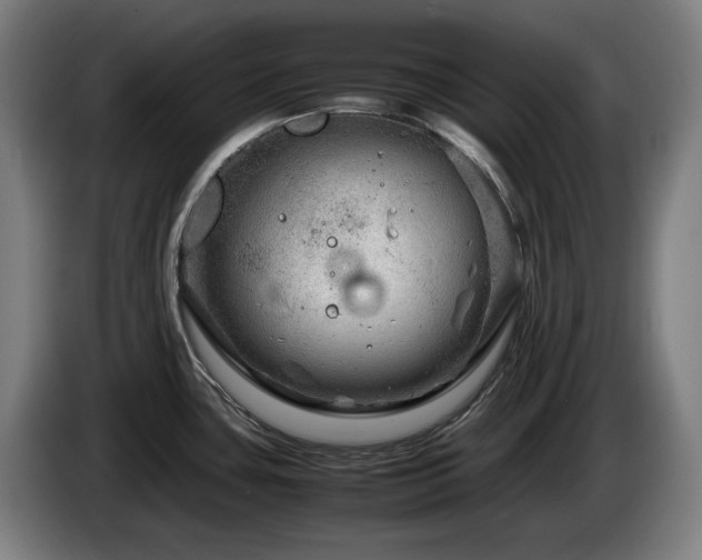 X0000085211435200703091129
