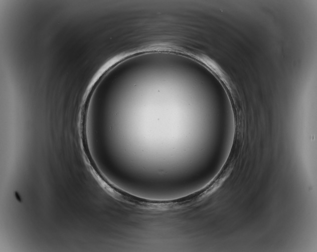 X0000085211438200703091129