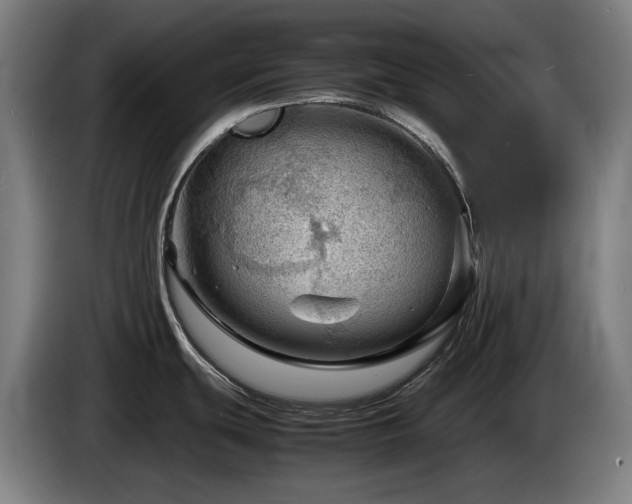 X0000085211439200703091129