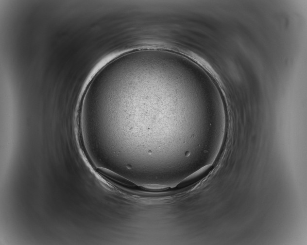 X0000085211440200703091129