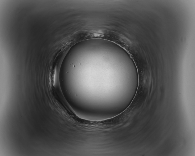 X0000085211442200703091129