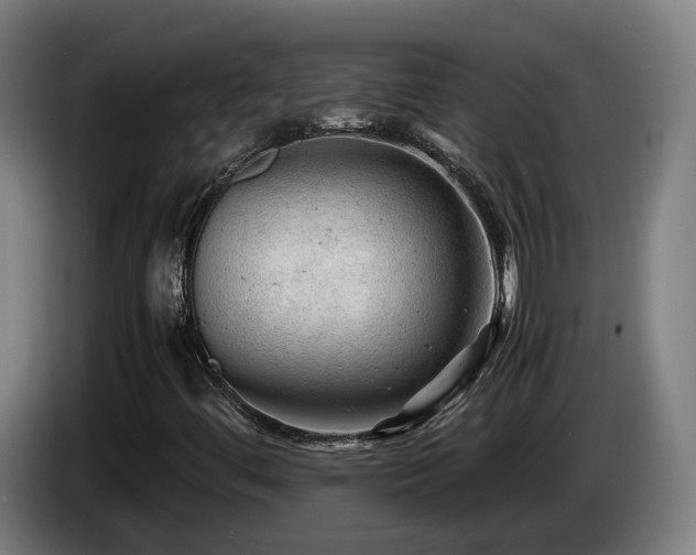 X0000085211444200703091129