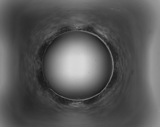 X0000085211447200703091129