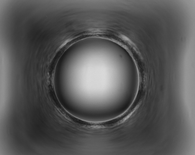 X0000085211449200703091128