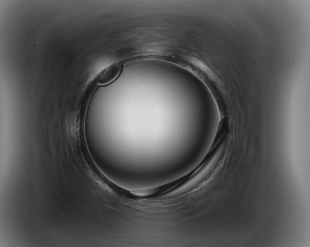 X0000085211450200703091128