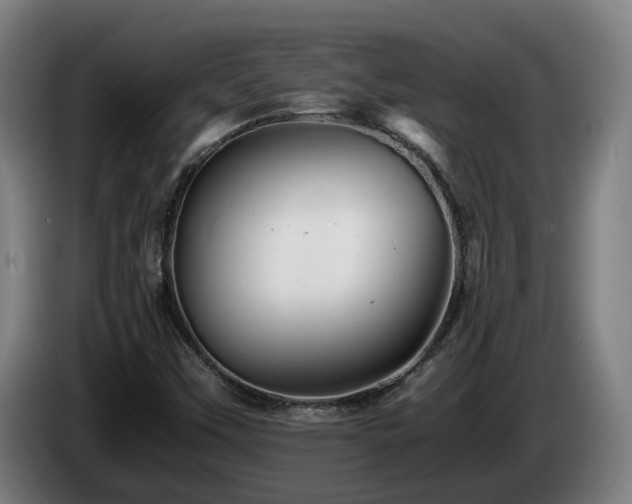 X0000085211451200703091128