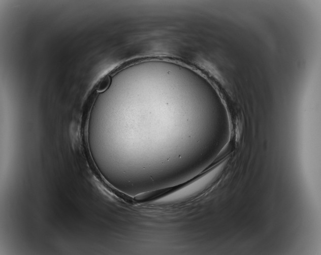 X0000085211452200703091128