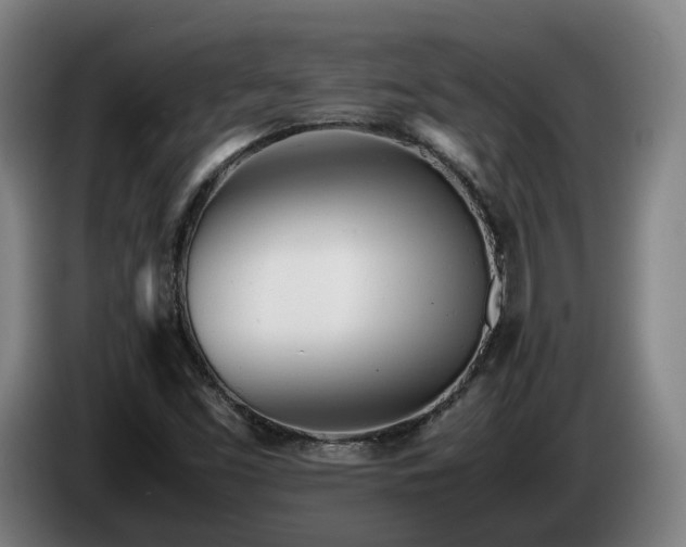 X0000085211453200703091128