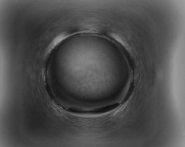 X0000085211455200703091128