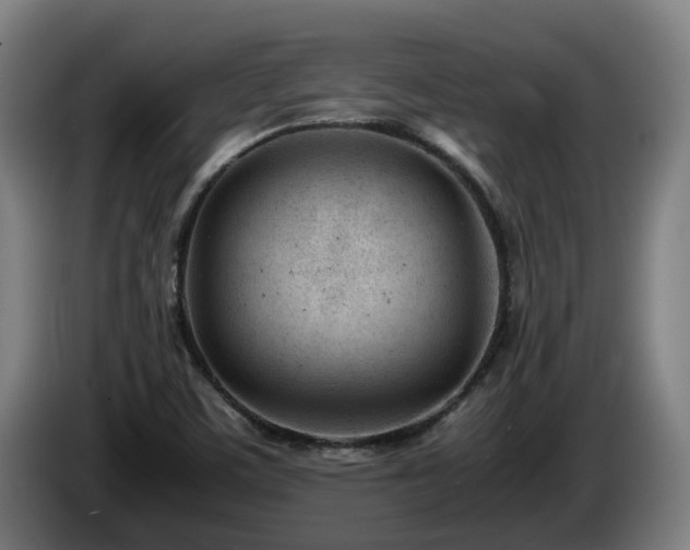 X0000085211459200703091128