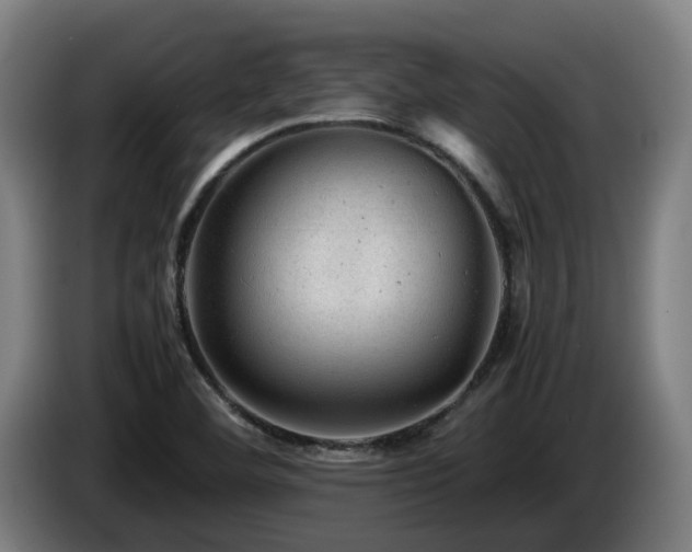 X0000085211460200703091128