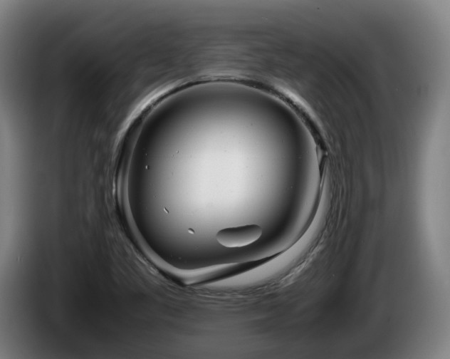 X0000085211461200703091128