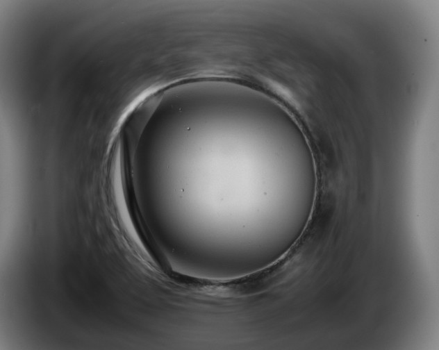 X0000085211463200703091128