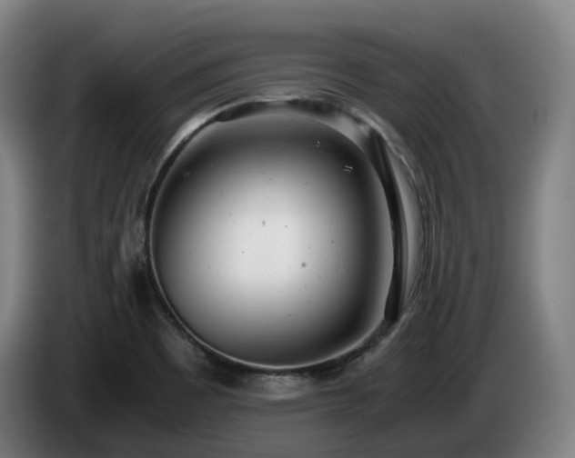 X0000085211465200703091128