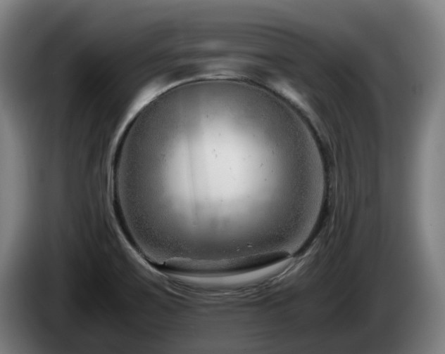 X0000085211467200703091128
