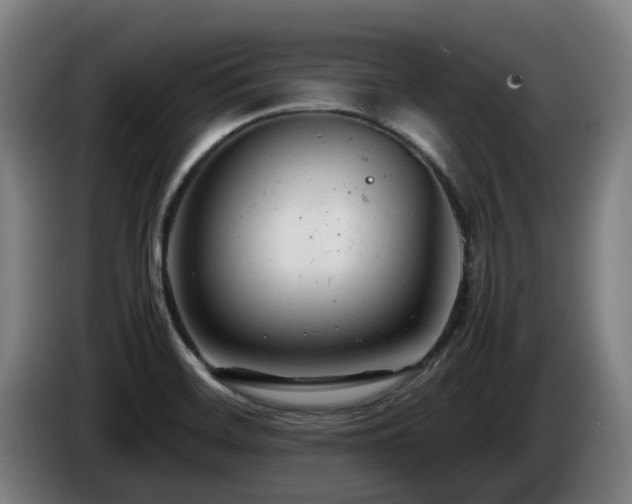 X0000085211468200703091128