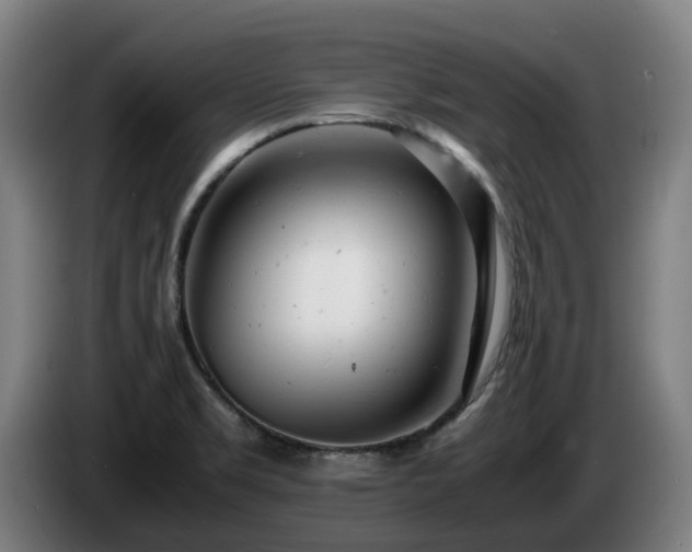X0000085211469200703091128