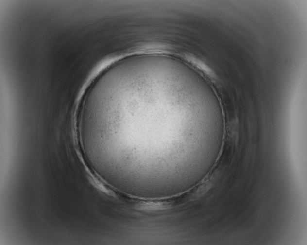 X0000085211470200703091128