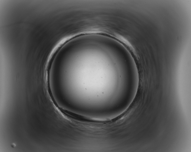 X0000085211472200703091128