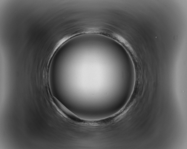 X0000085211473200703091128