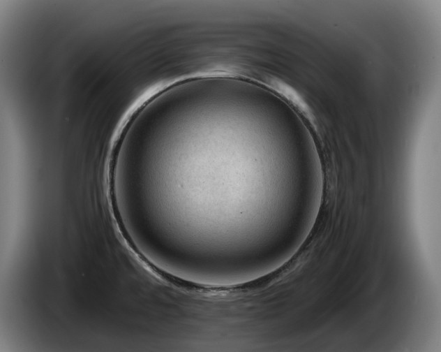 X0000085211480200703091128