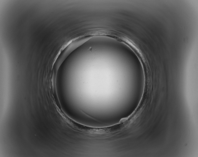 X0000085211481200703091128