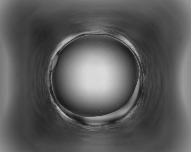 X0000085211485200703091128