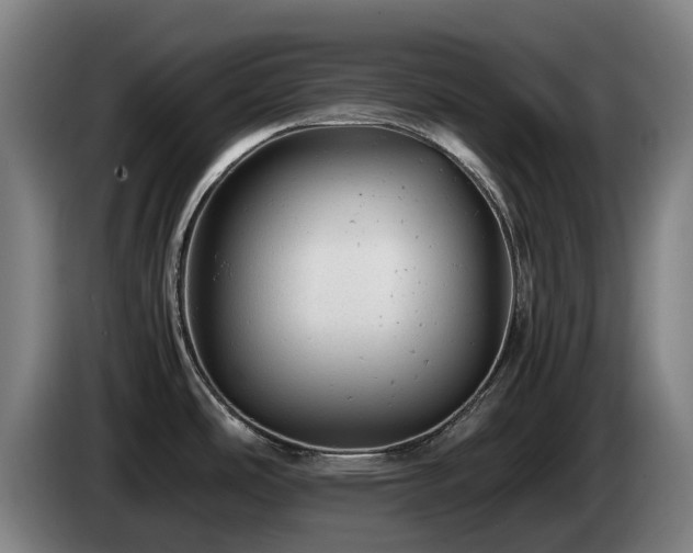X0000085211486200703091128