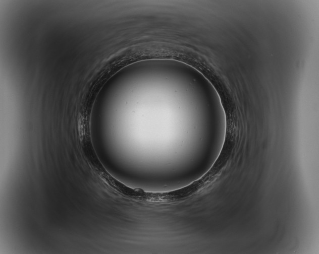 X0000085211490200703091127