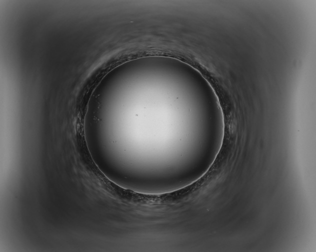 X0000085211495200703091127