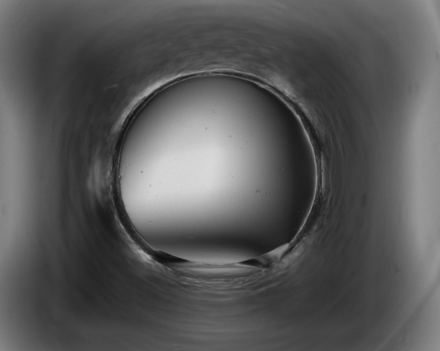 X0000085211500200703091127