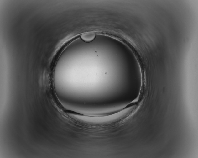 X0000085211501200703091127
