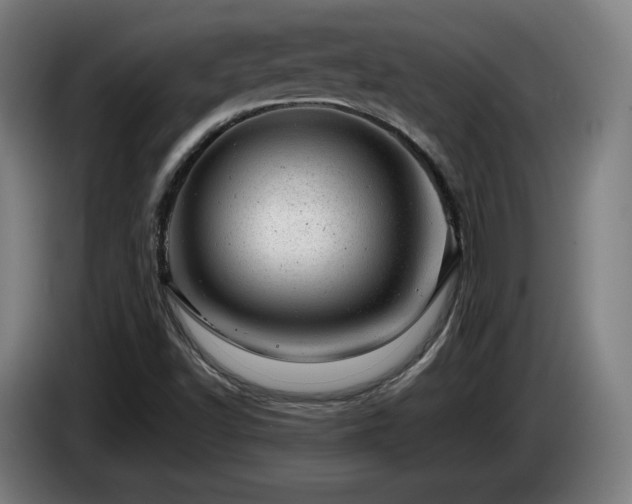 X0000085211502200703091127