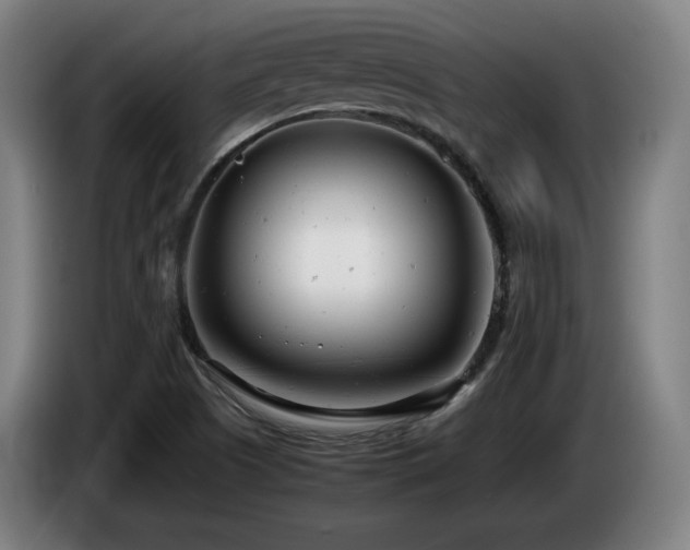 X0000085211505200703091128