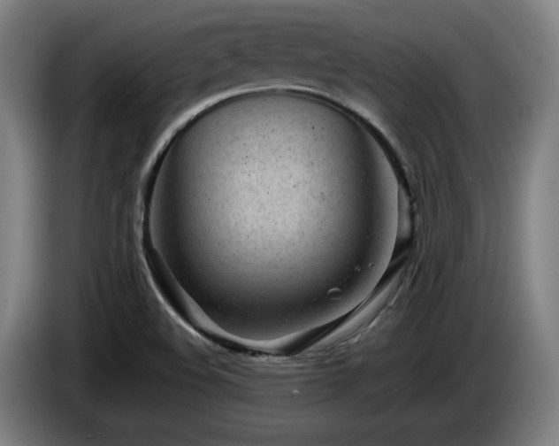 X0000085211508200703091128