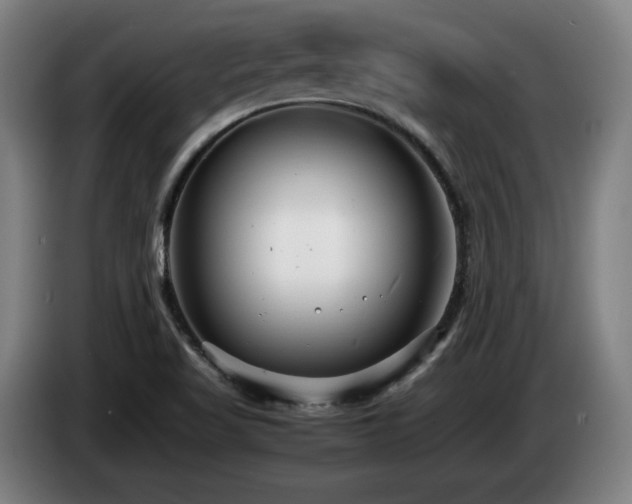 X0000085211509200703091128