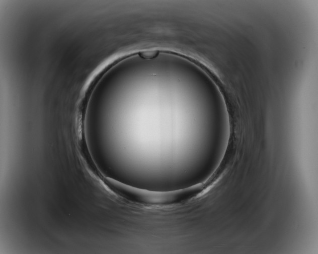 X0000085211510200703091128